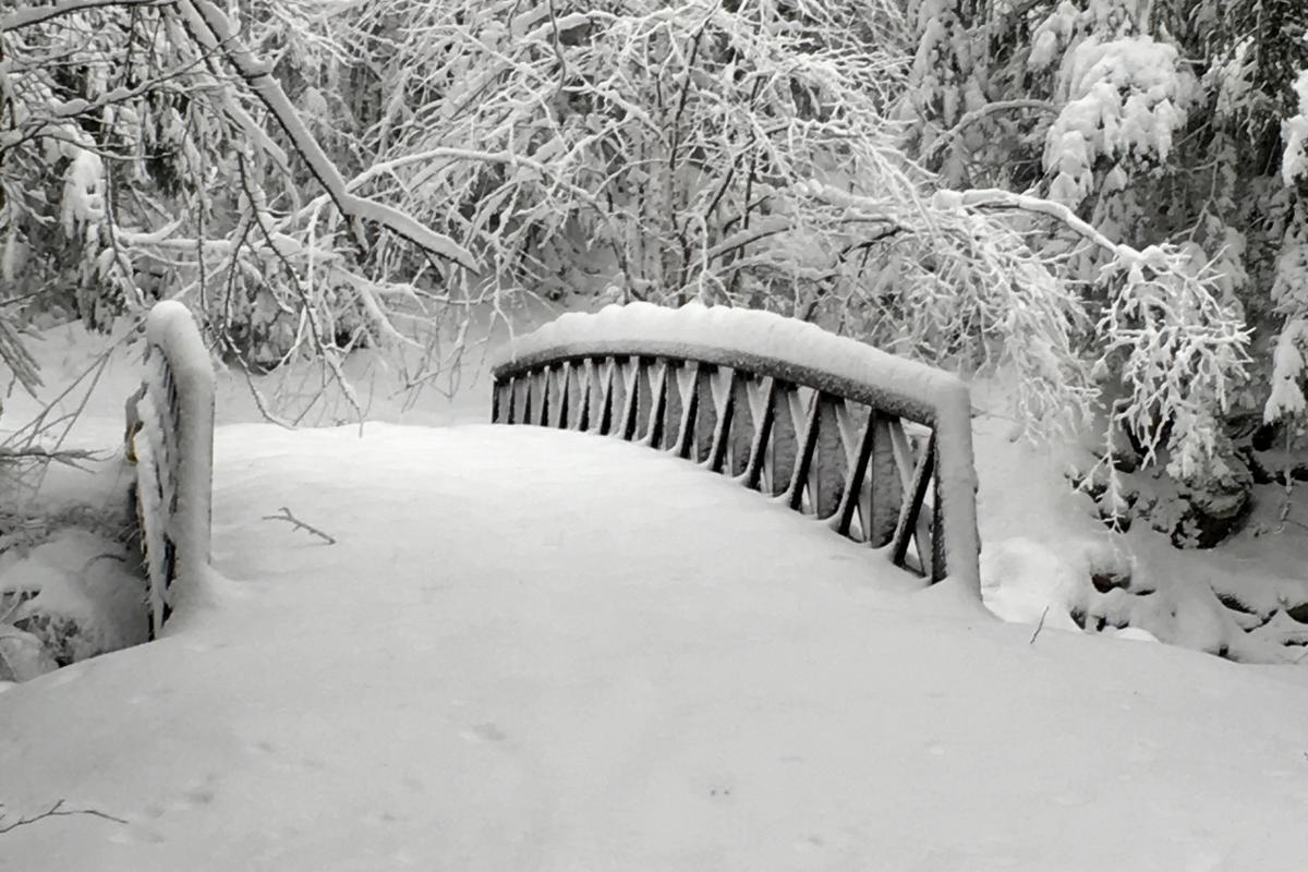 Snow bridge