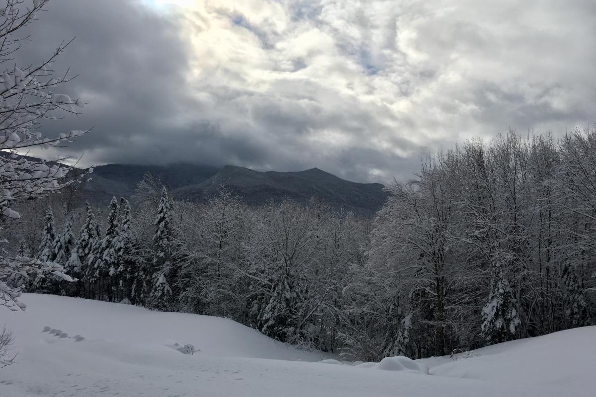 Snow field