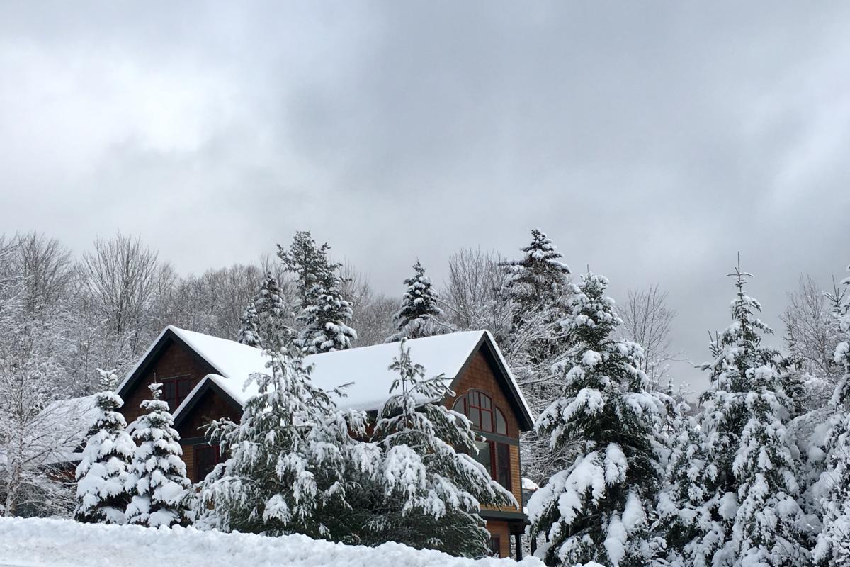 Snowy home