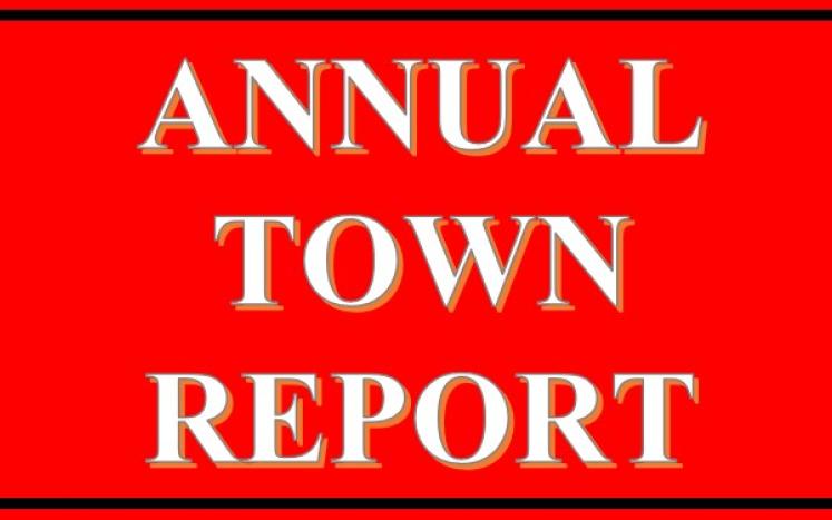 Town Report